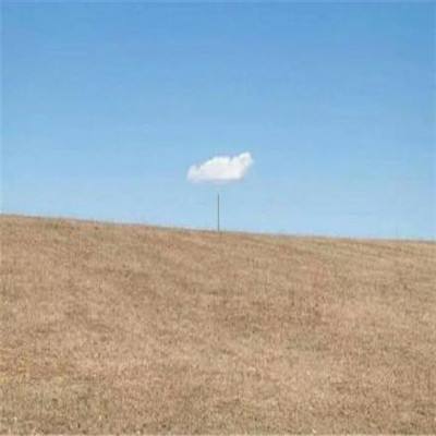 半岛·综合app下载